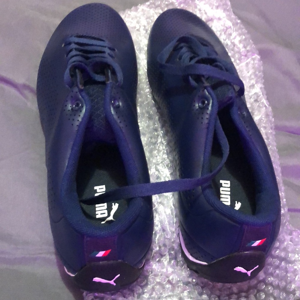 Pumas - Picture 2 of 3